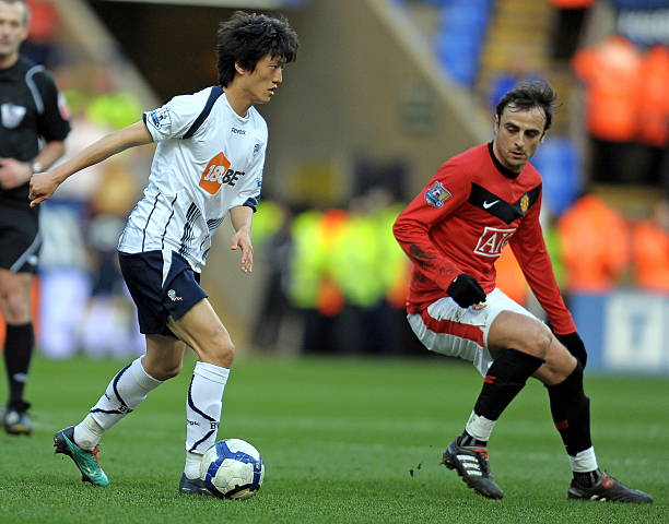 和庞大的粉 和庞大的粉